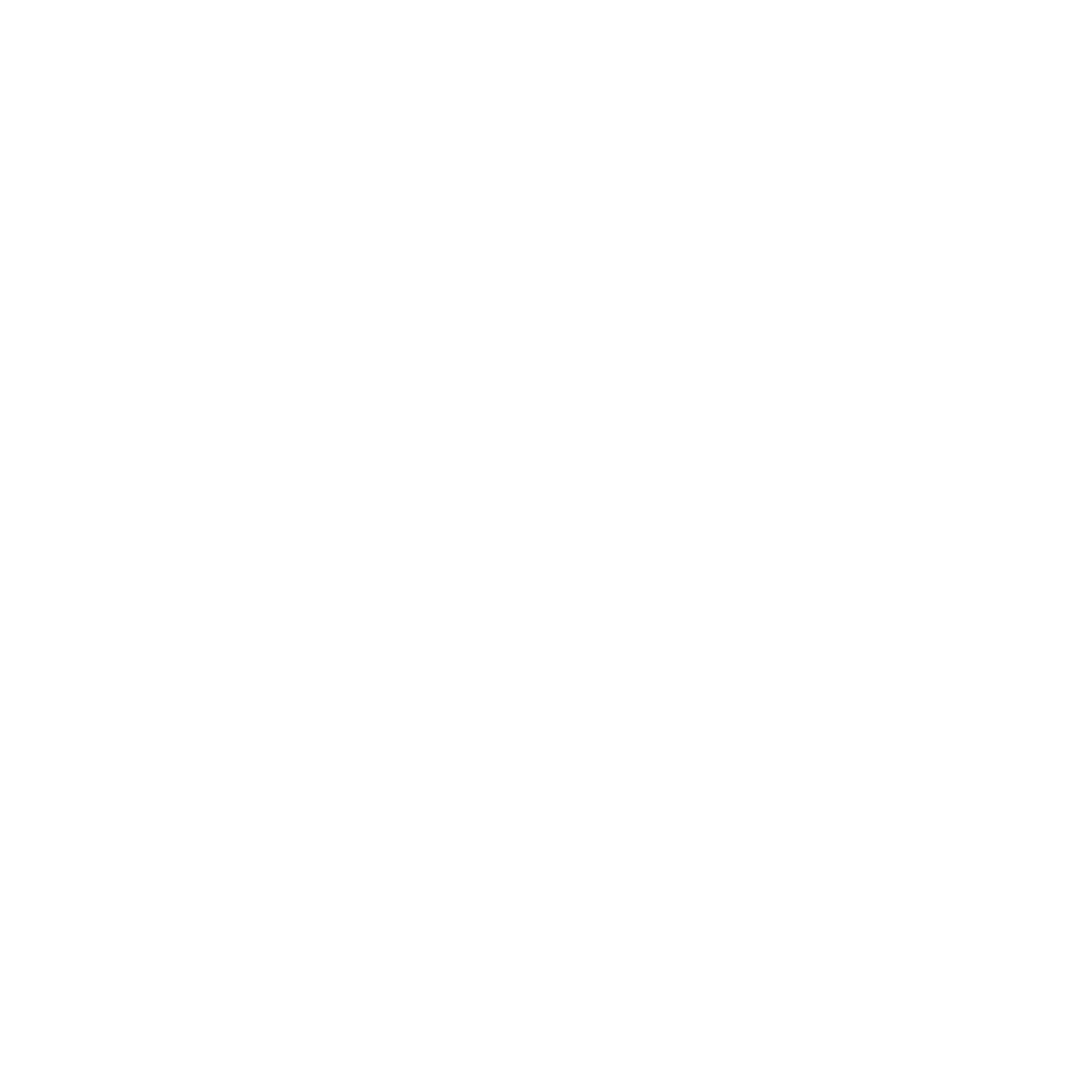 BizNet Technology Miami